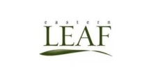 Eastern Leaf